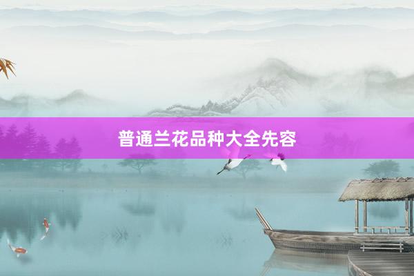 普通兰花品种大全先容