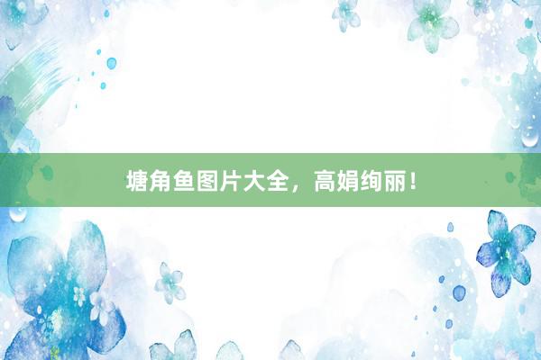塘角鱼图片大全，高娟绚丽！