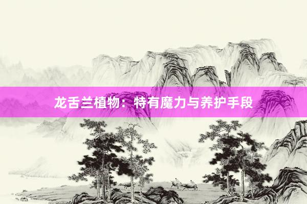 龙舌兰植物：特有魔力与养护手段